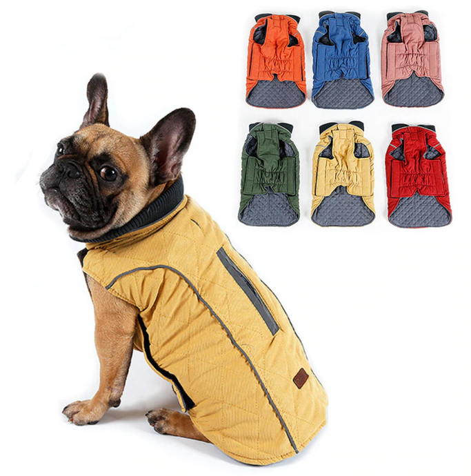 What to Look for When Buying a Dog Coat