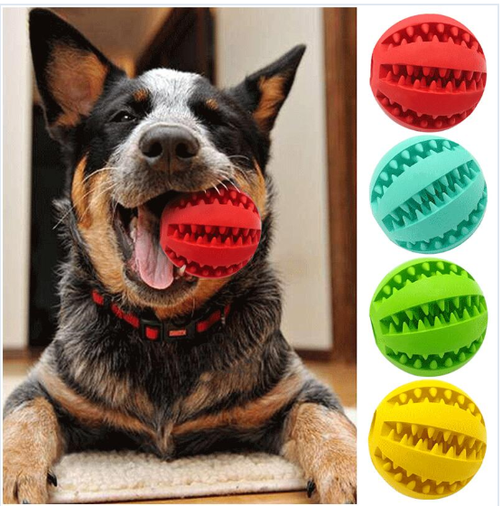 How to Choose the Right Toys for Your Dog